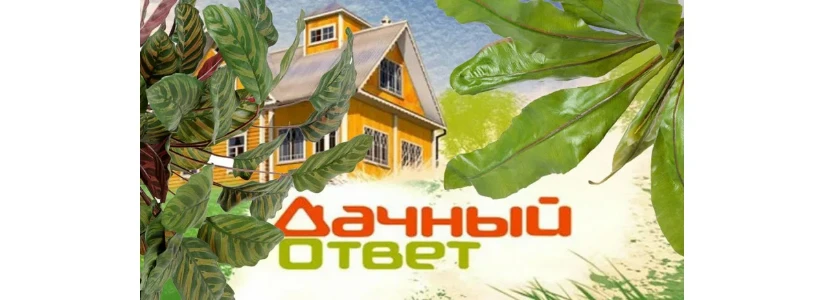 Постер Дачный ответ 13.07.2025 на НТВ последний выпуск