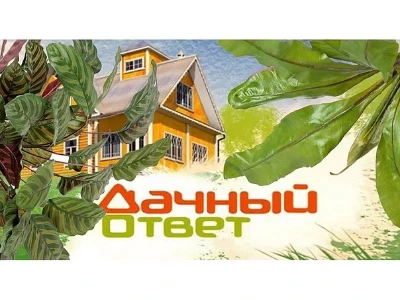 Постер Дачный ответ на НТВ последний выпуск 06.07.2025